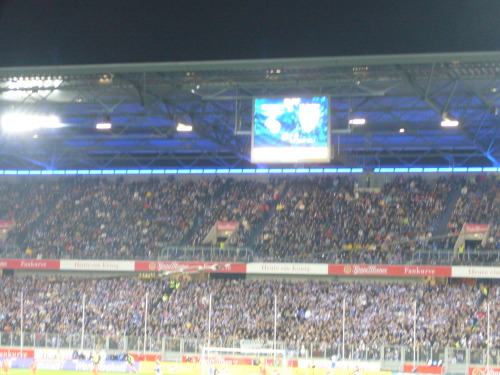 MSV Duisburg - VfL Bochum - photo